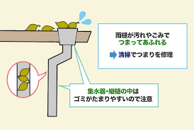 樋の説明写真