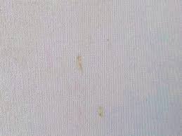 クロス汚れ写真